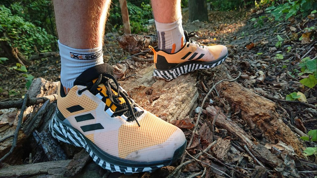 Foto de las zapatillas de trail adidas Terrex Two en el piel