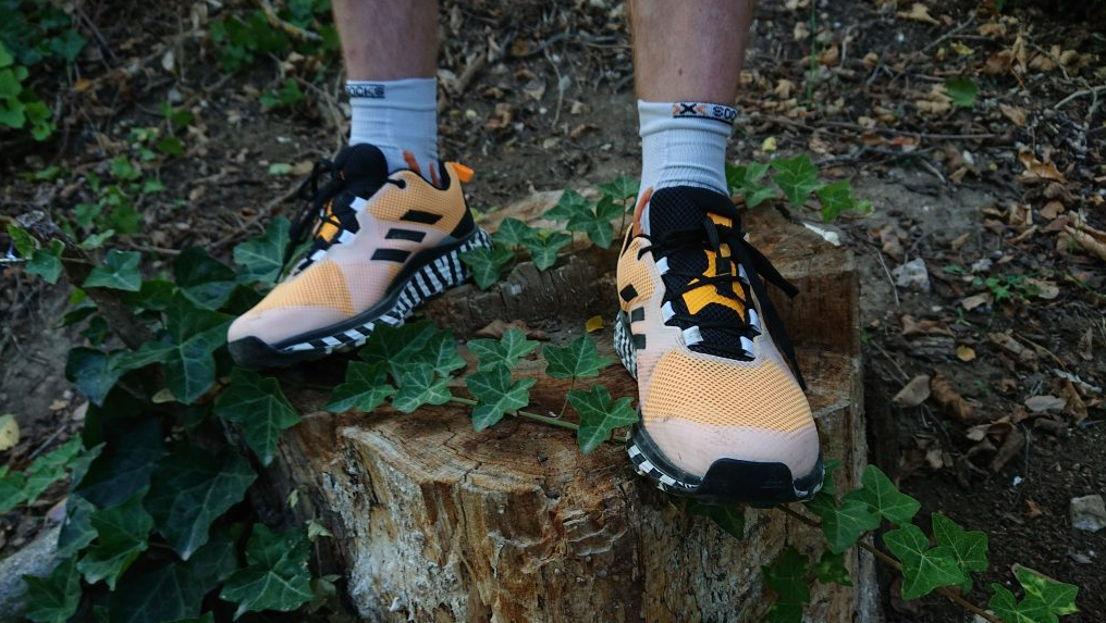 Foto de las zapatillas de trail adidas Terrex Two 